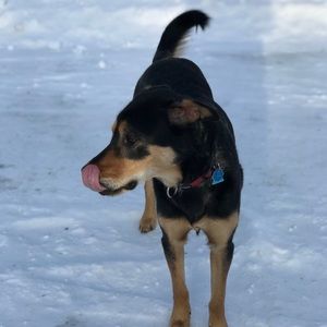 Meet your Posher, Ava